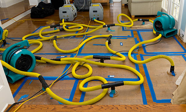 Professional Crawl Space Water Removal technician working in Pinehurst, MA